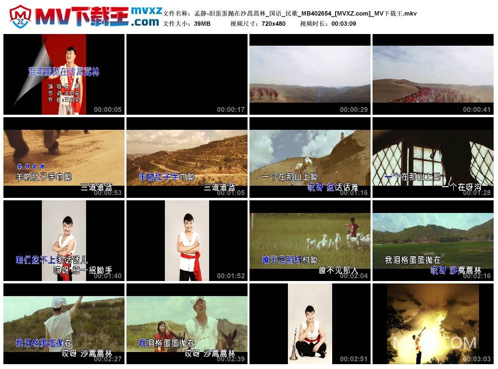 孟静-泪蛋蛋抛在沙蒿蒿林_国语_民歌_MB402654